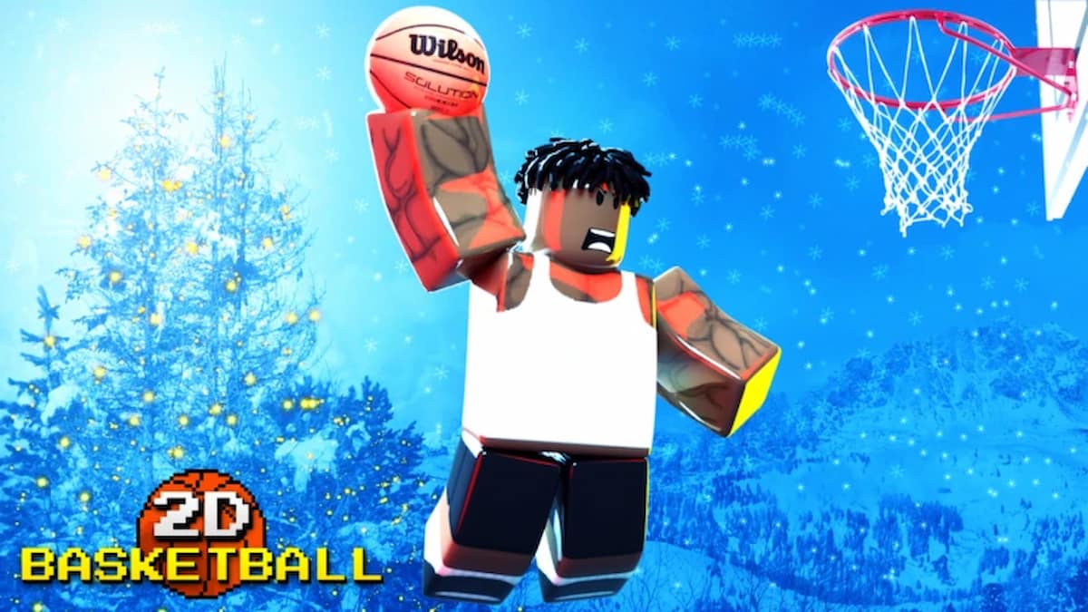 Codes de basket 2d (janvier 2025)