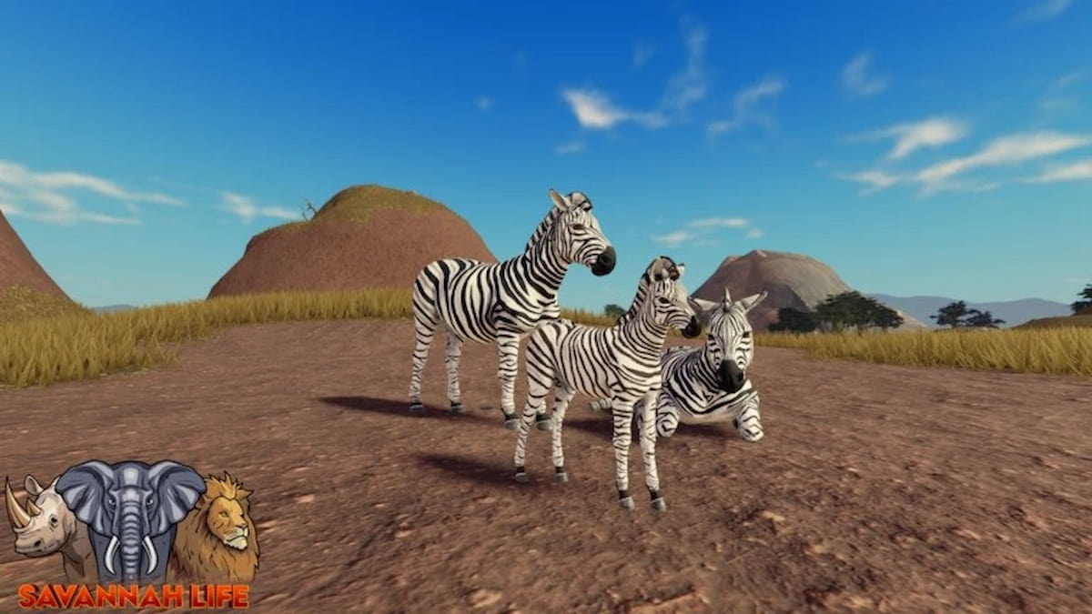 Codes de vie de Savannah (janvier 2025)