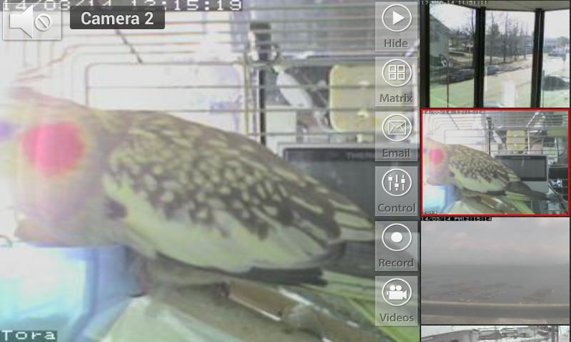 Viewer for Wanscam cameras