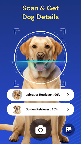 Dog Breed Identifier by Photo