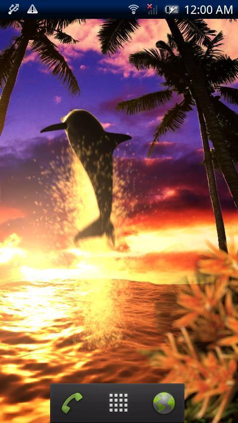 Dolphin Amber Trial