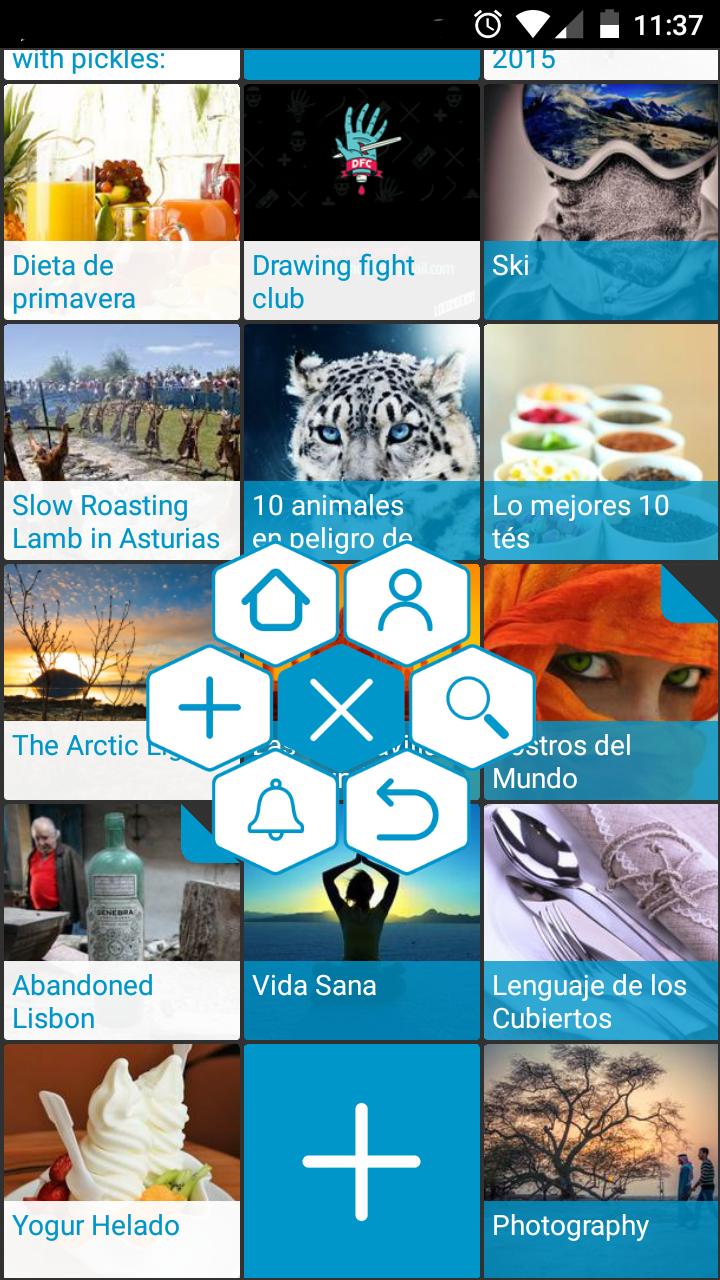 beQbe, Instablog