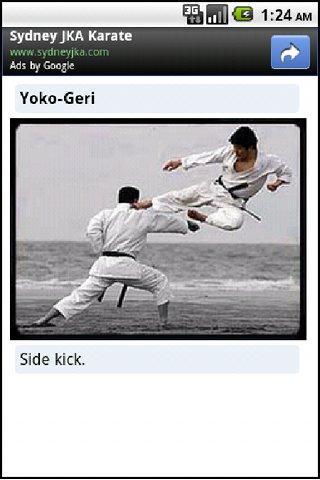 Karate Lite