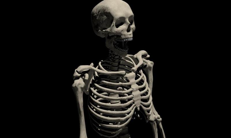 Skeleton Wallpapers