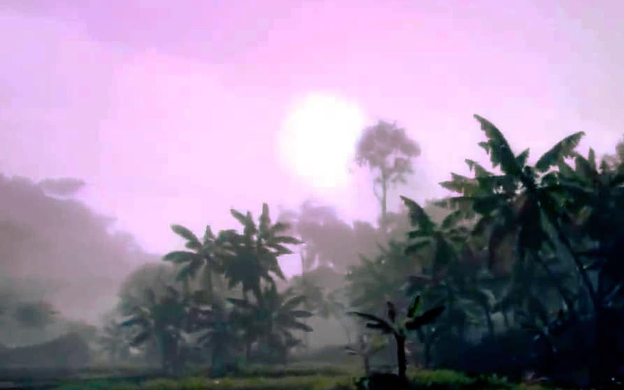 Vietnam Storm Rises