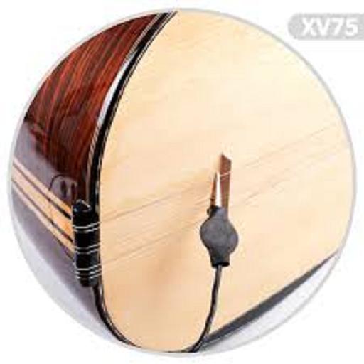 instrument playing