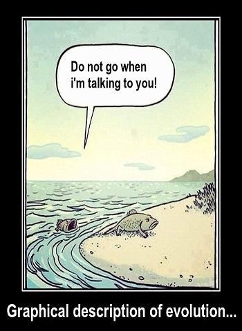 Funny LOL Pictures