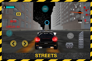 Police Car Driver Sim 3D