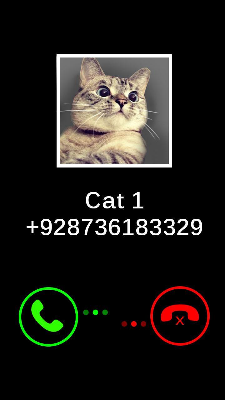Fake Call Cat Joke