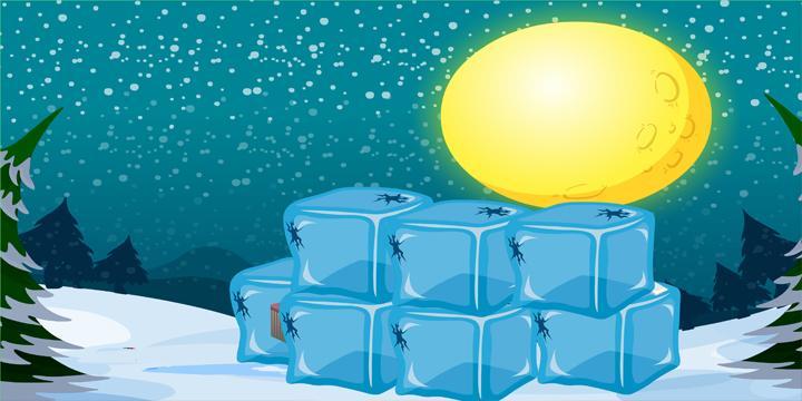 Christmas Night Escape