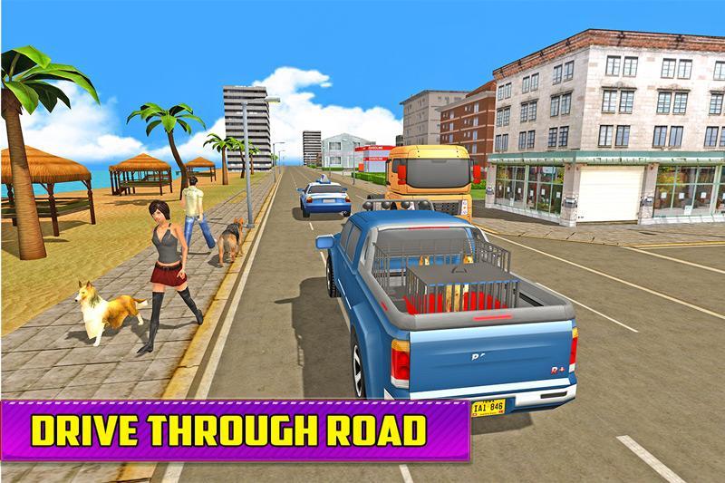 Pet Animal Transport Driving