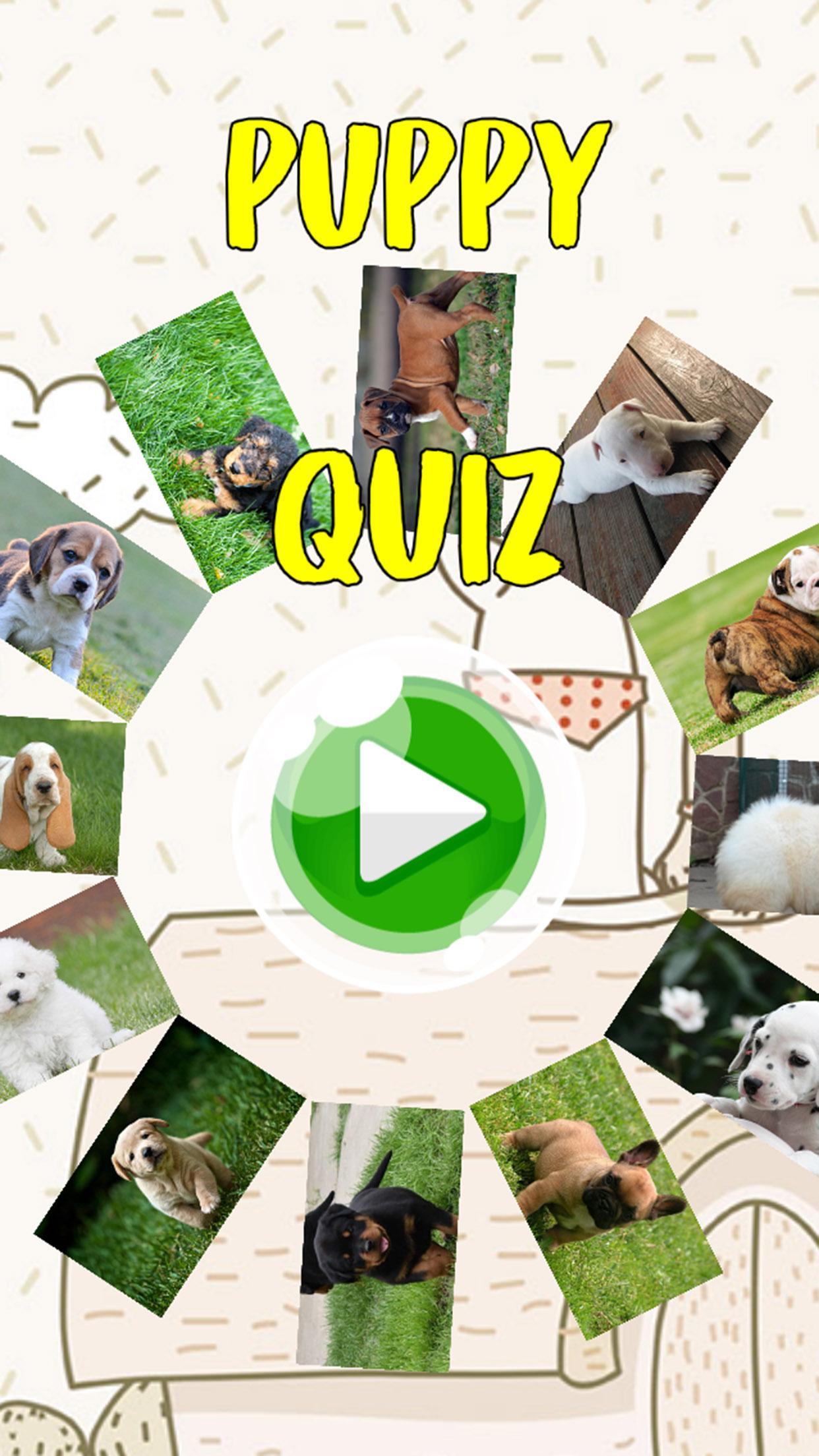Puppy Dogs Quiz- Guess Popular Breeds