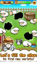 Baw Wow sheep collection