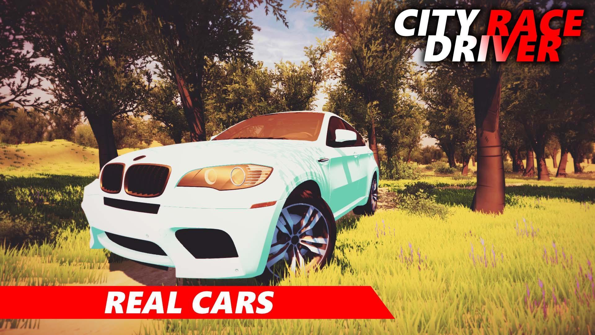 City Race Driver 3D