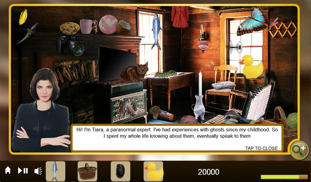 Hidden Object - The Interview