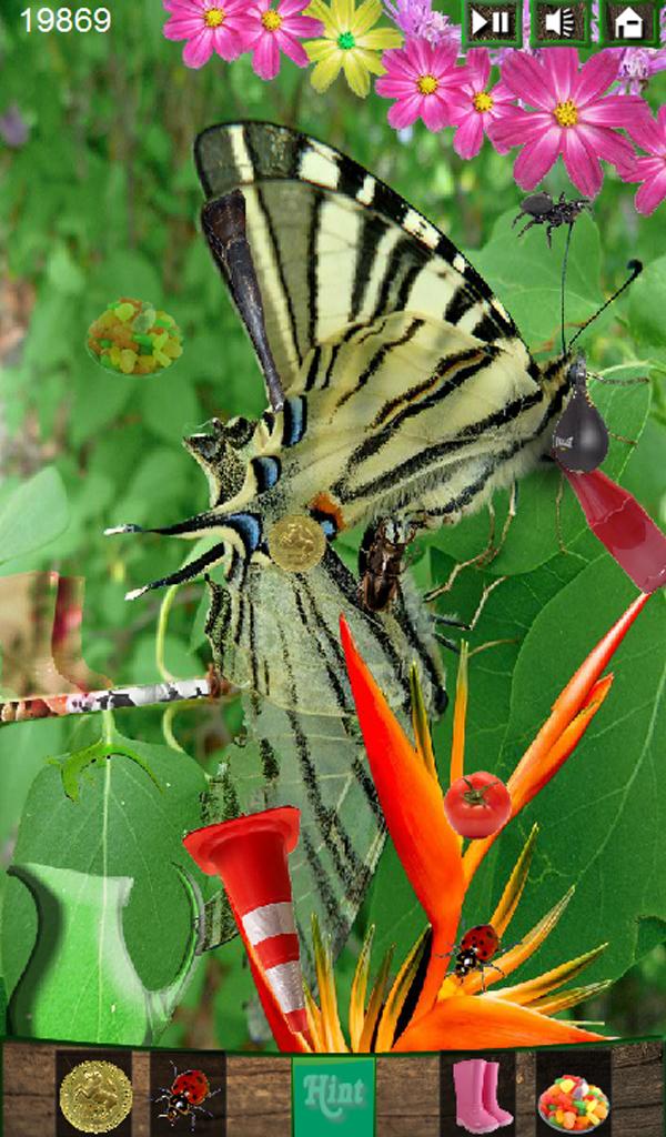 Hidden Object - Butterfly