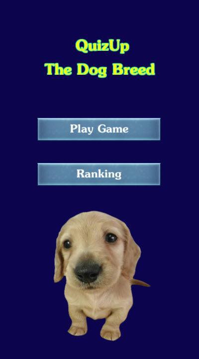 Quizup the Dog breed