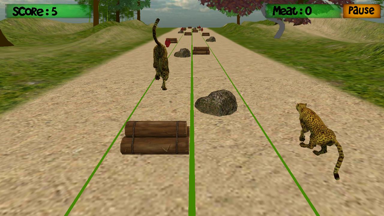 Cheetah Training World