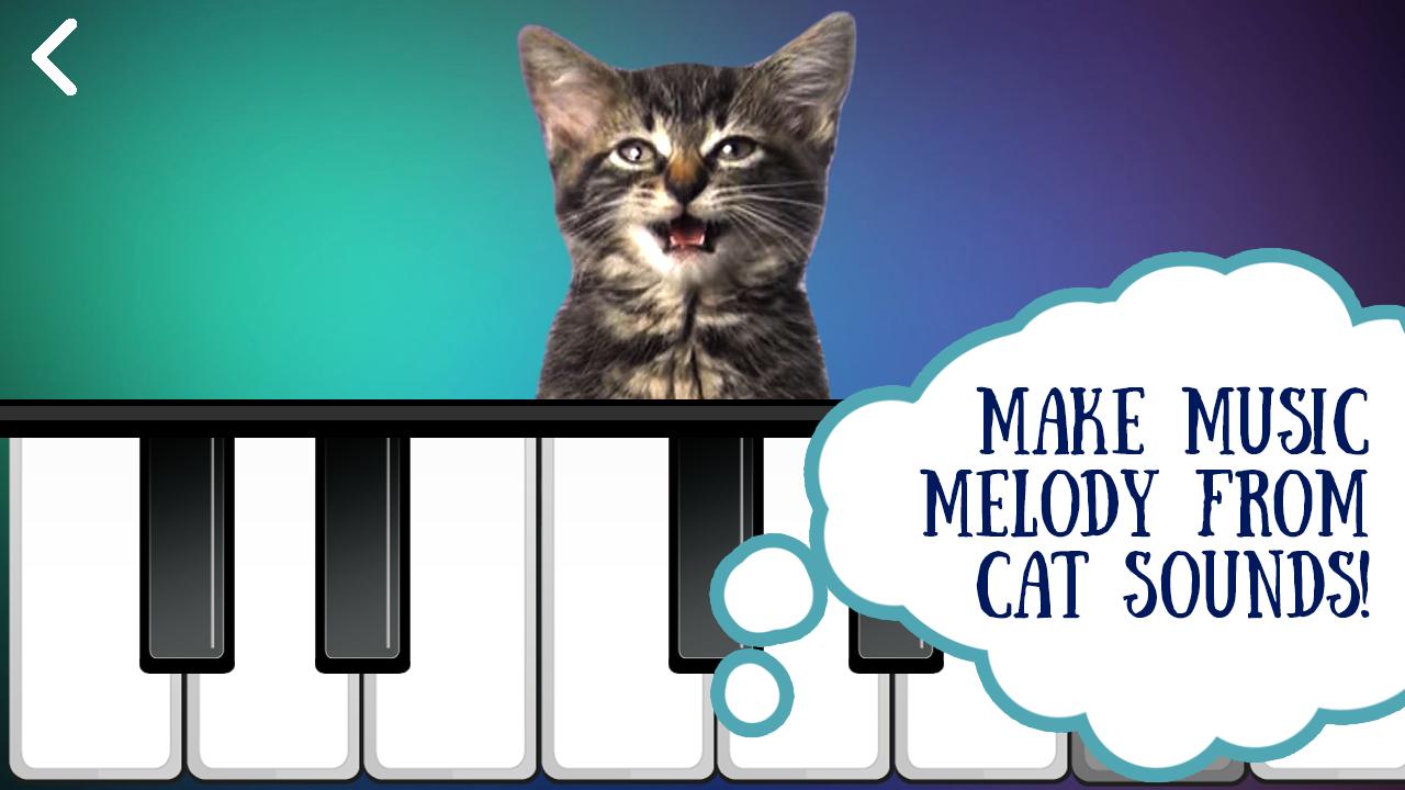 Cat Piano. Sounds-Music