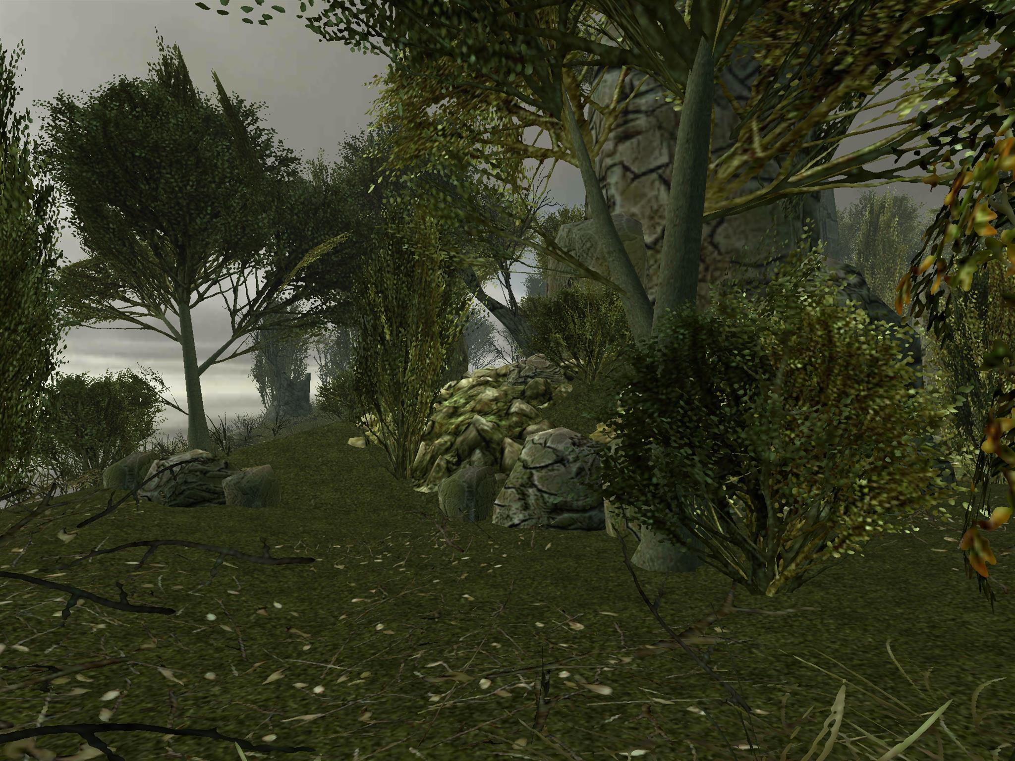 VR Relax Autumn 3D Cardboard