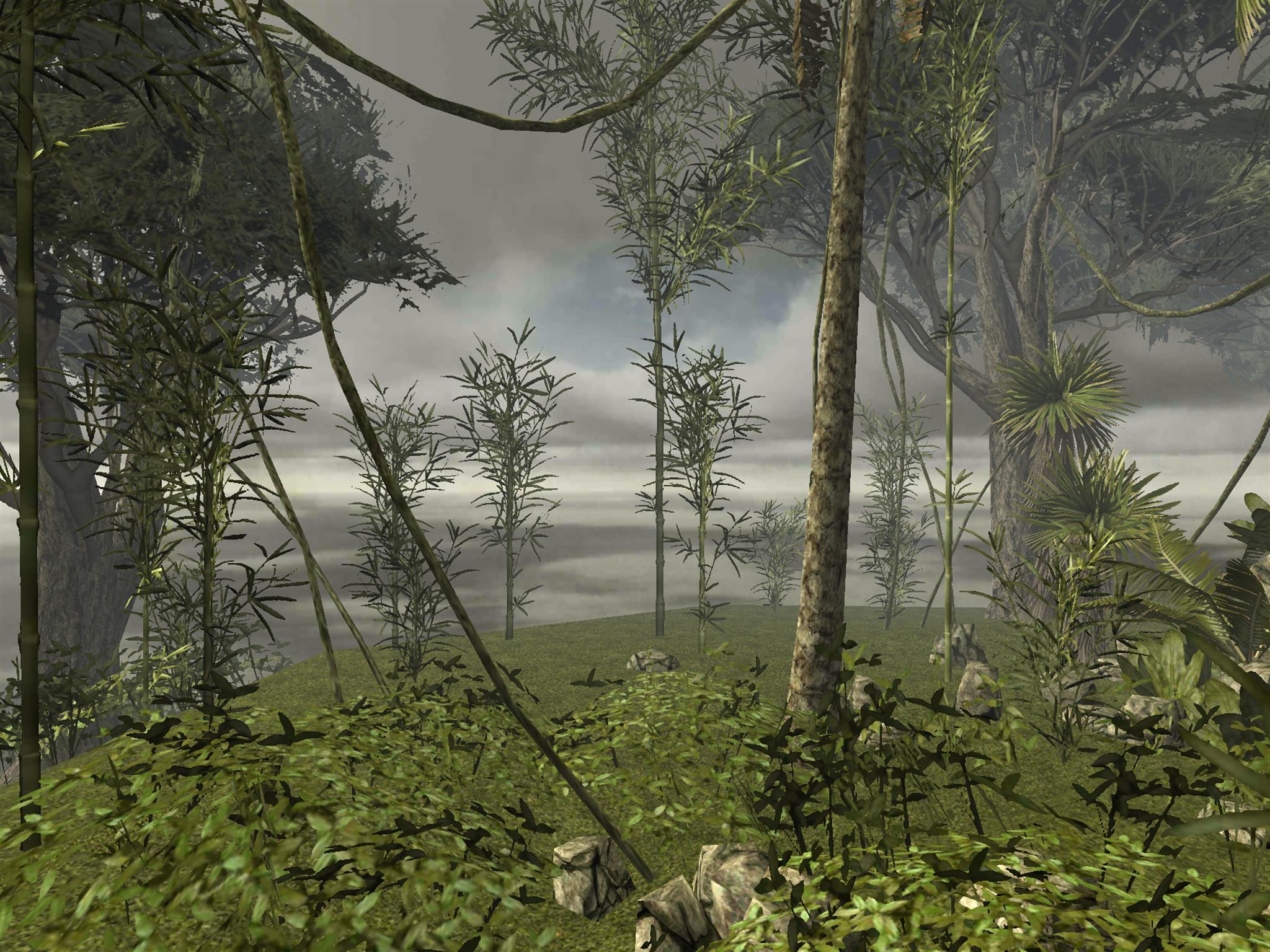 VR Relax Autumn 3D Cardboard