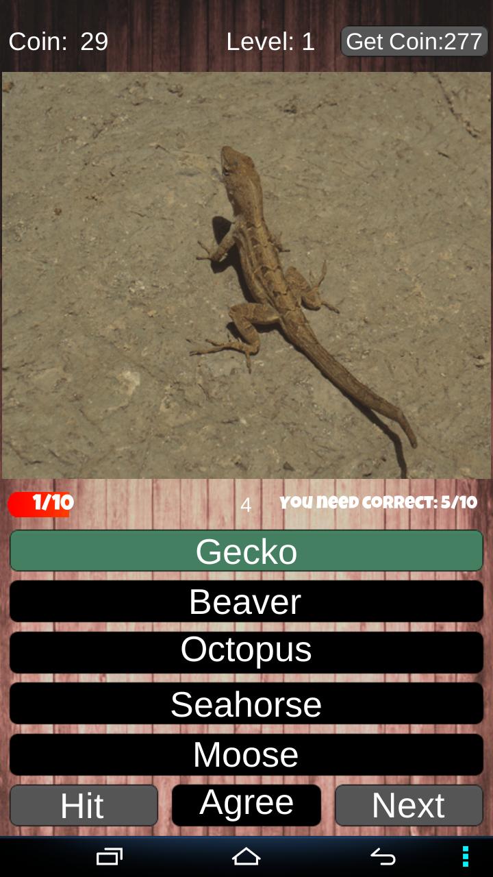 Animal Quiz DC