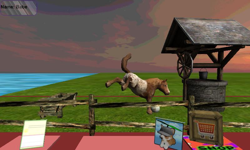 Pony Pet
