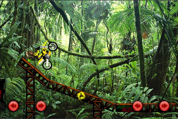 THE JAMAICAN RIDER