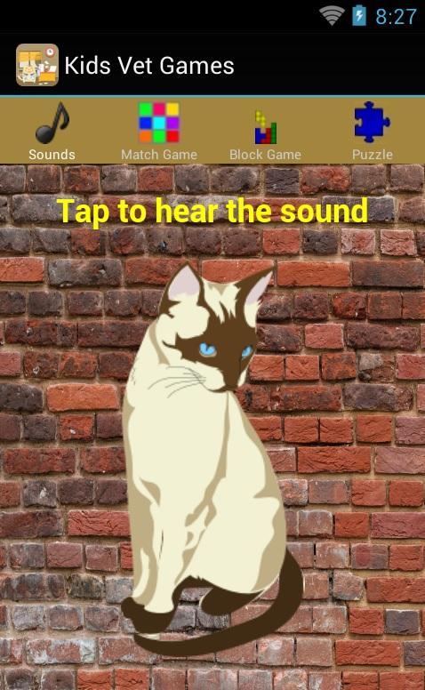 Kids Vet Games Free