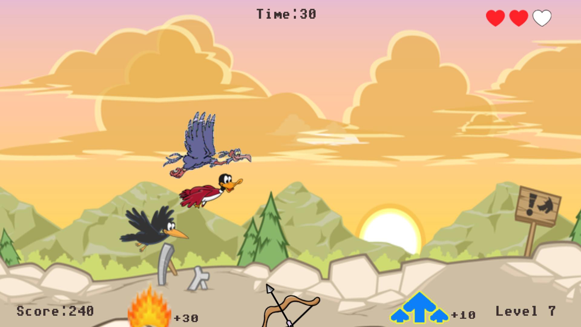 Archery Bird Arrows