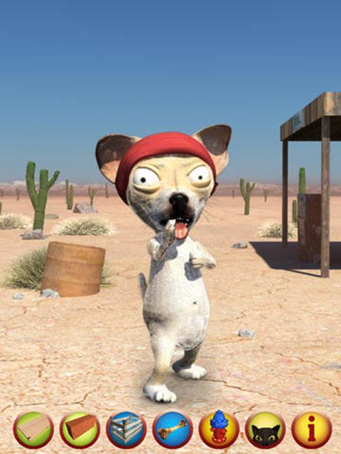 KungFu Dog