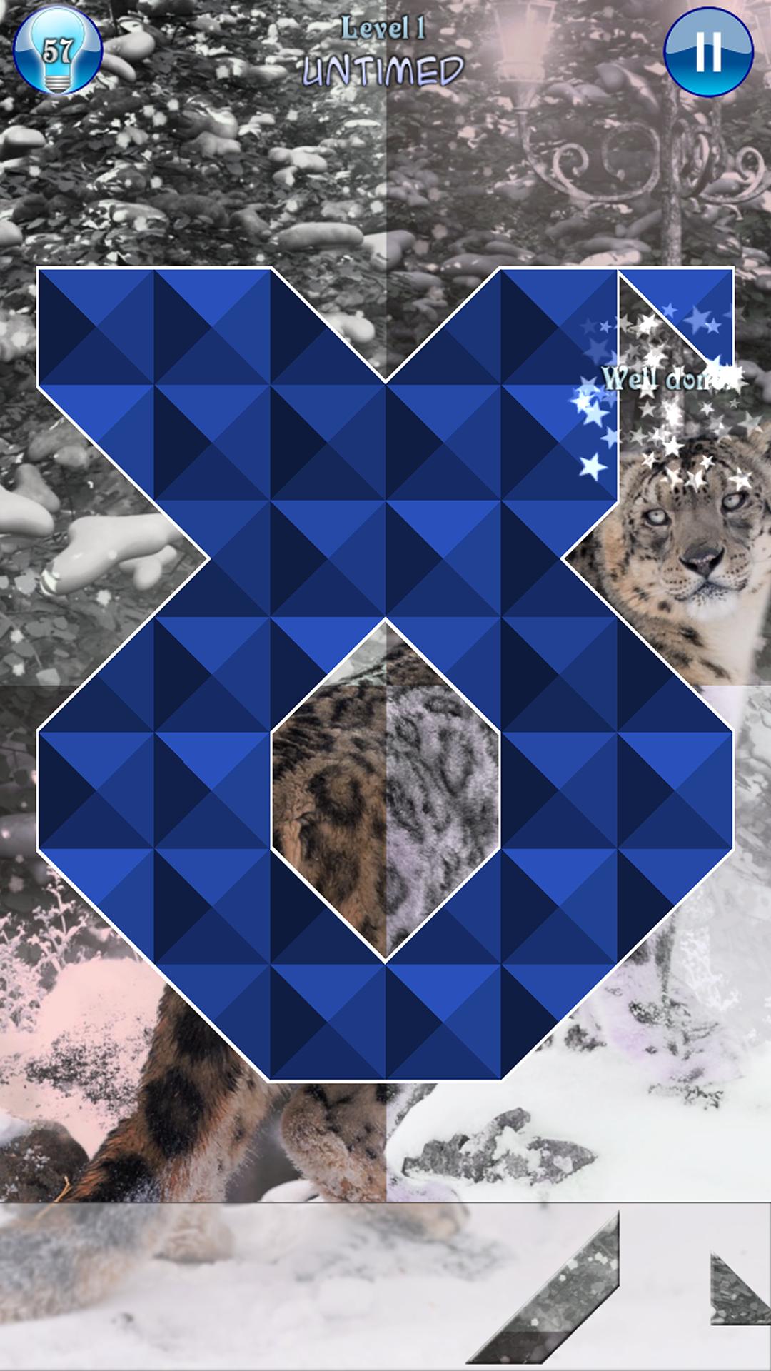 Hidden Pieces: Animal Seasons