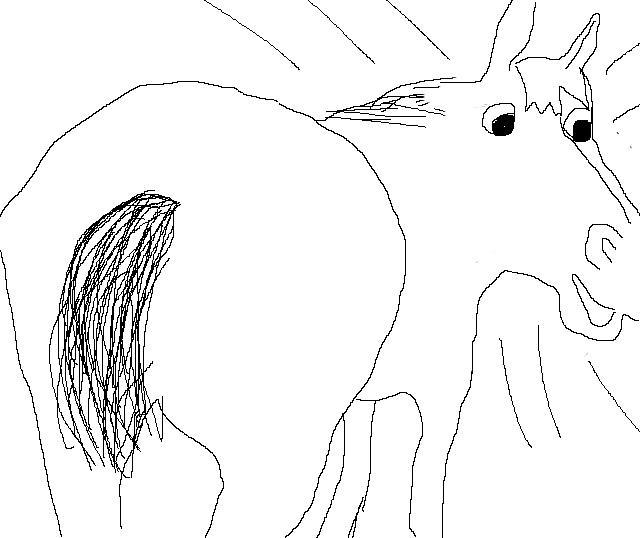 Horse Hey Hey