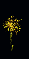 FireWorks Diwali