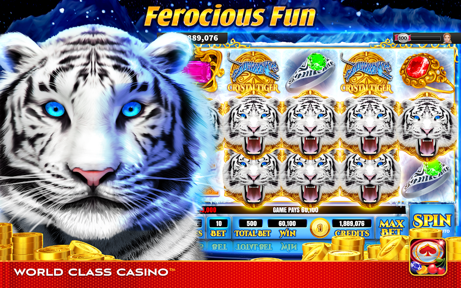 World Class Casino