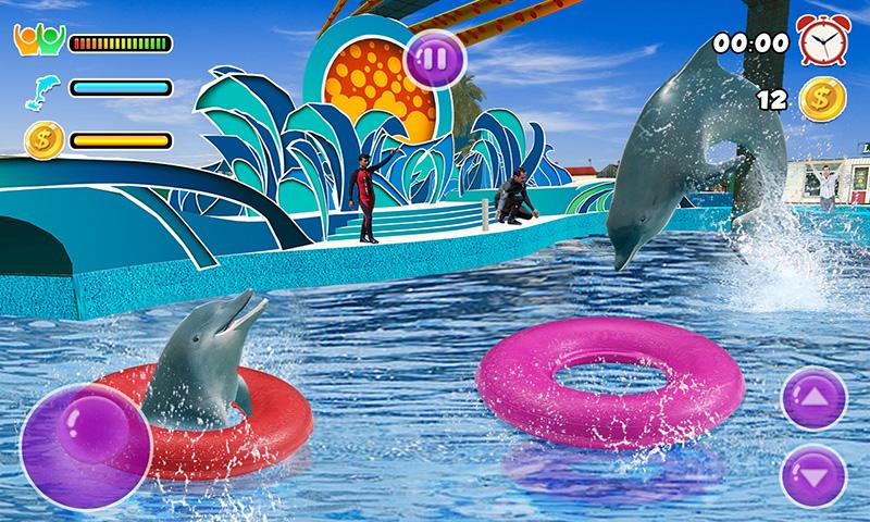 Dolphin Water Stunts Show