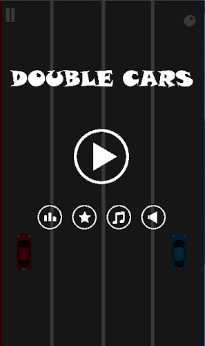 2 Cars Racing