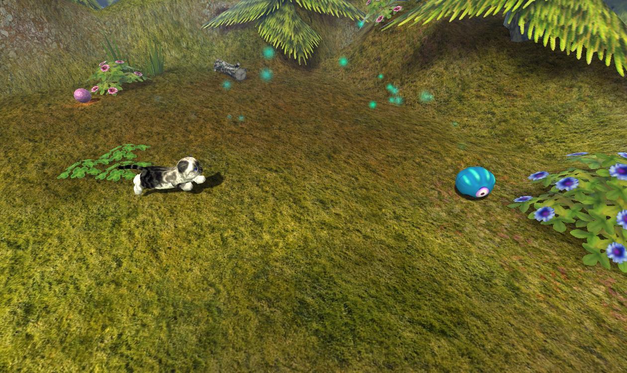 Frisky kitten