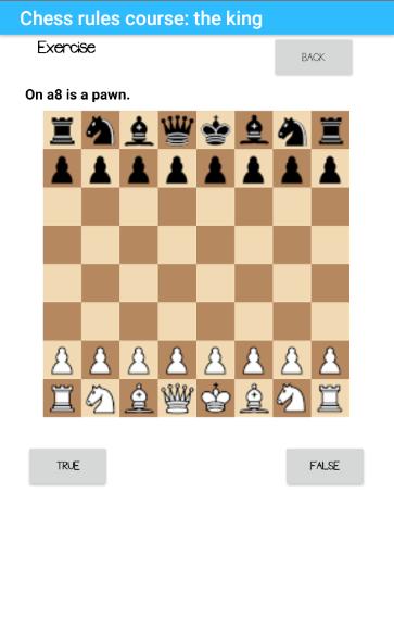 Chess rules part 4