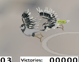 Birds Vs Drones 3D HD Multplay