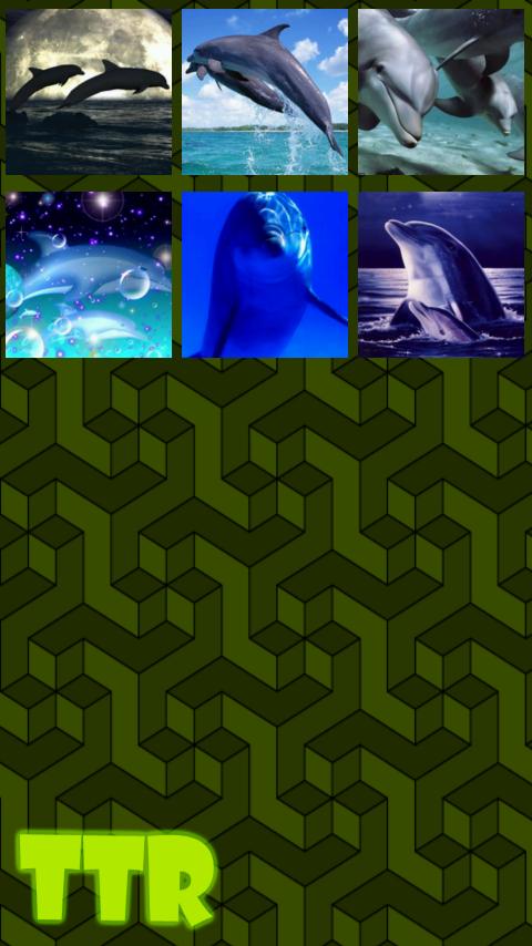 Dolphin Sliding Puzzle