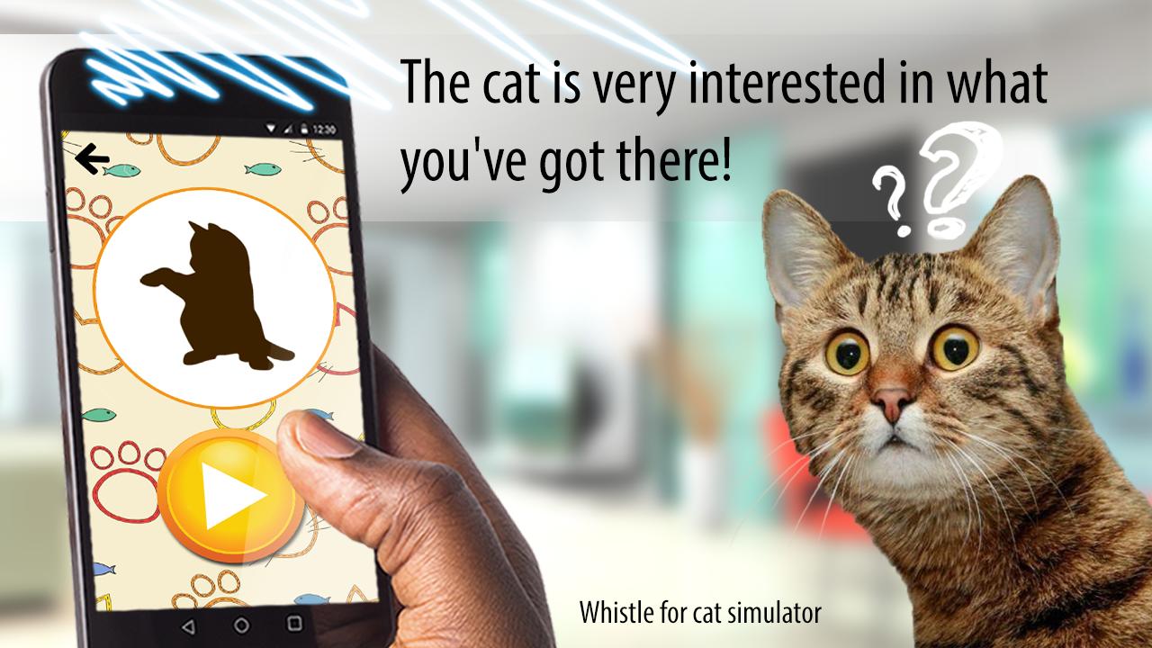 Whistle for cat simulator